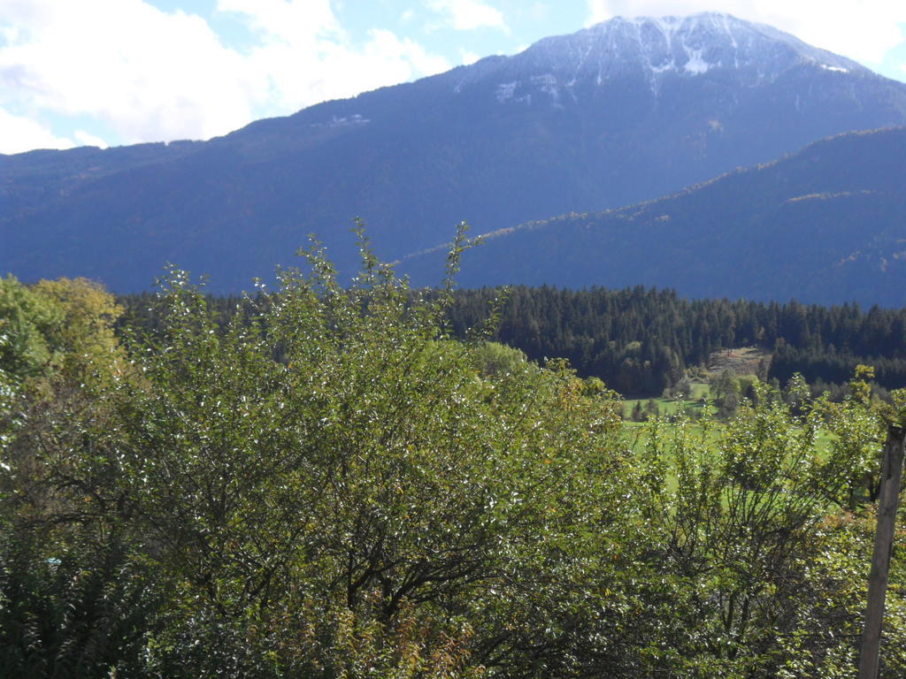 Ferienhaus Warmuth Sankt Stefan an der Gail Dış mekan fotoğraf