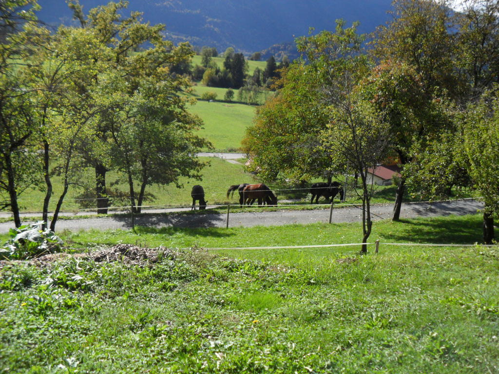 Ferienhaus Warmuth Sankt Stefan an der Gail Dış mekan fotoğraf