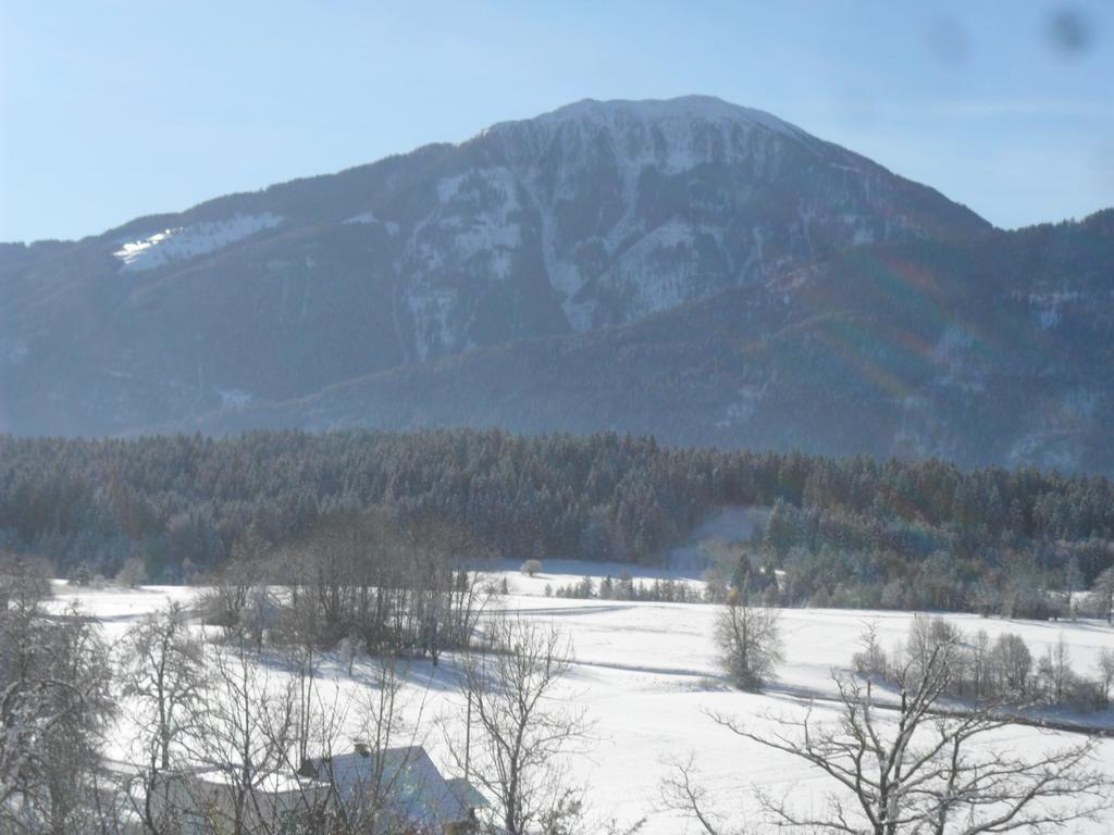 Ferienhaus Warmuth Sankt Stefan an der Gail Dış mekan fotoğraf